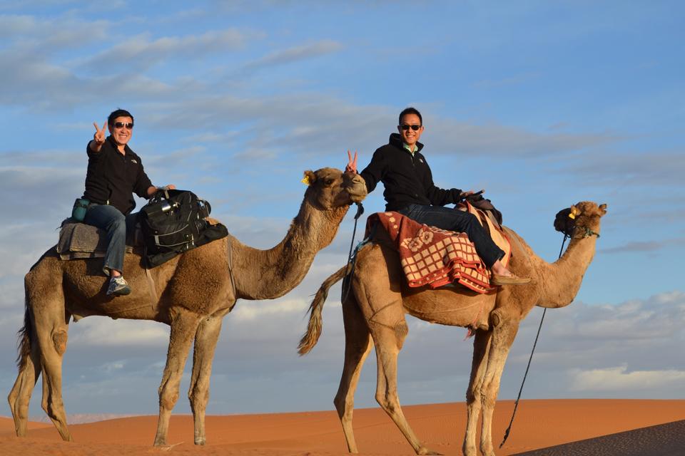 1495438_878943059078_1749826604243737764_n