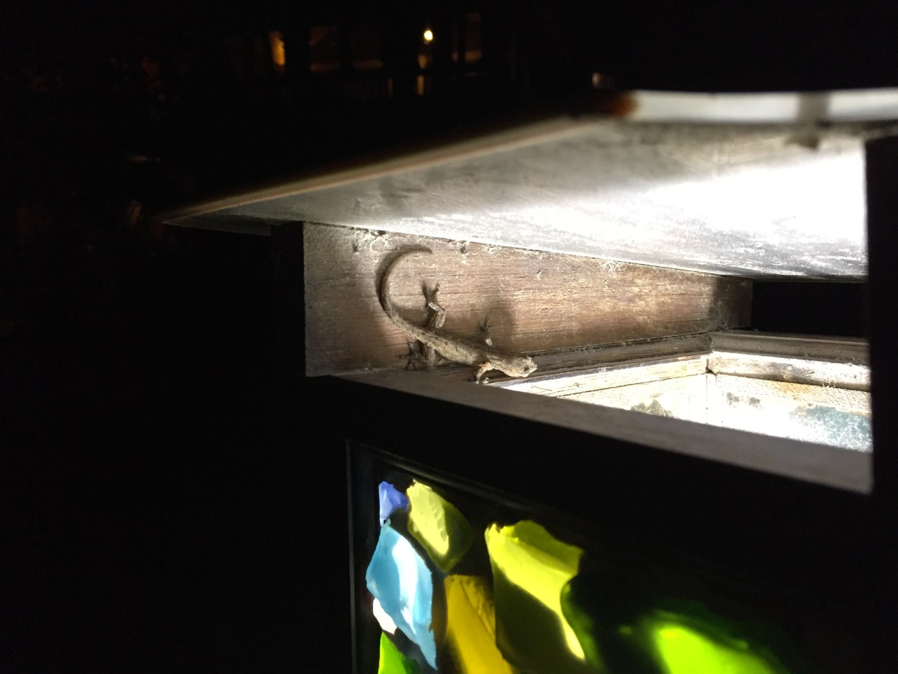 2016-02-19 23.08.27.jpg