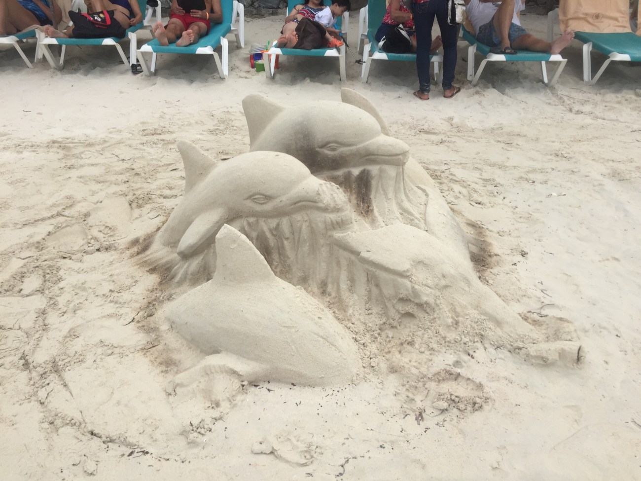 2016-02-20 10.11.15.jpg