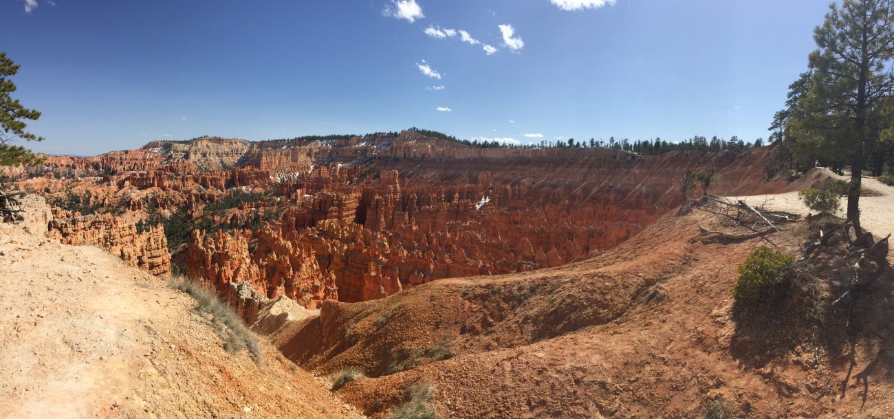 2017-04-13 15.56.26.jpg