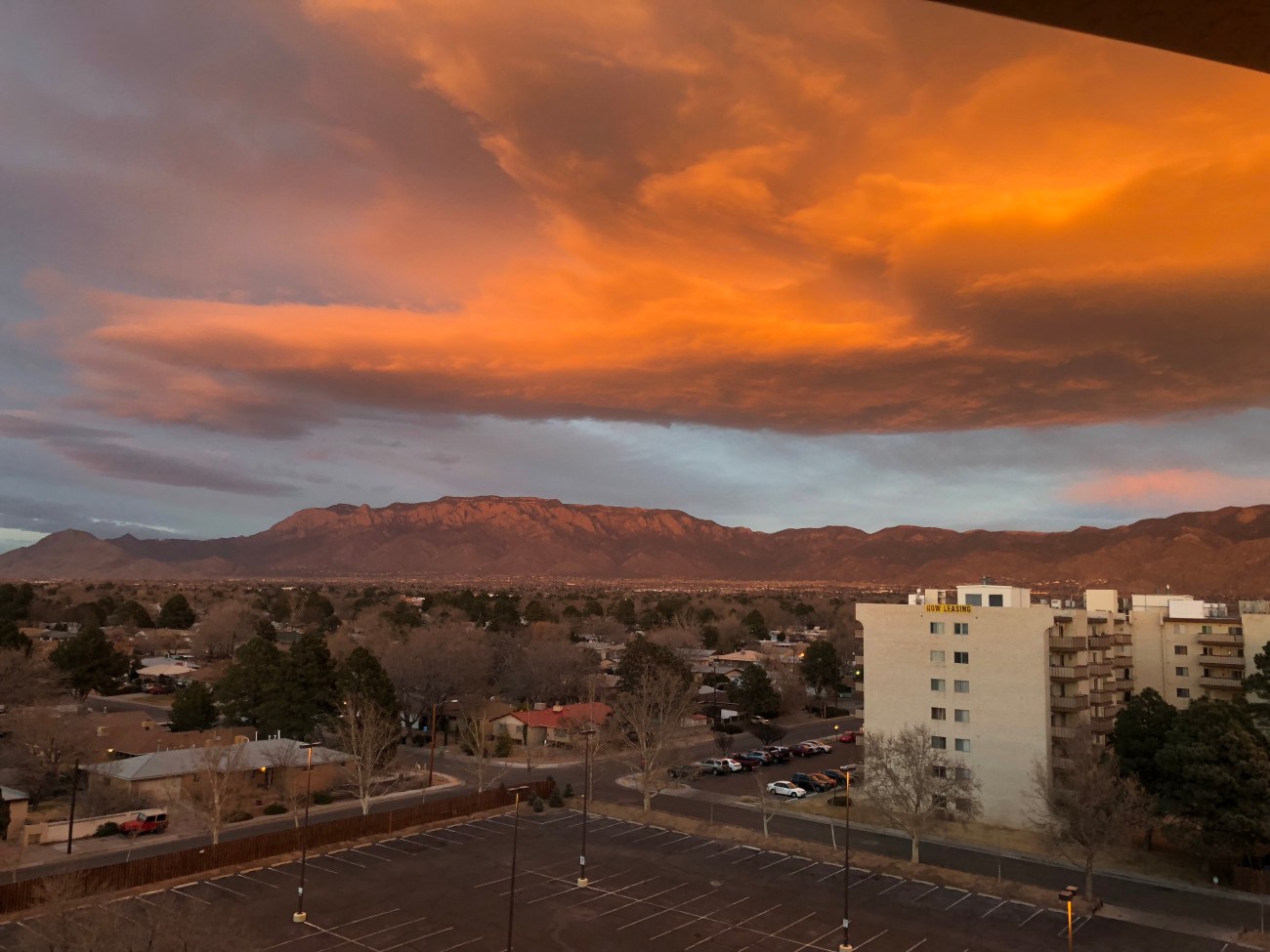 2018-02-10 17.45.34.jpg