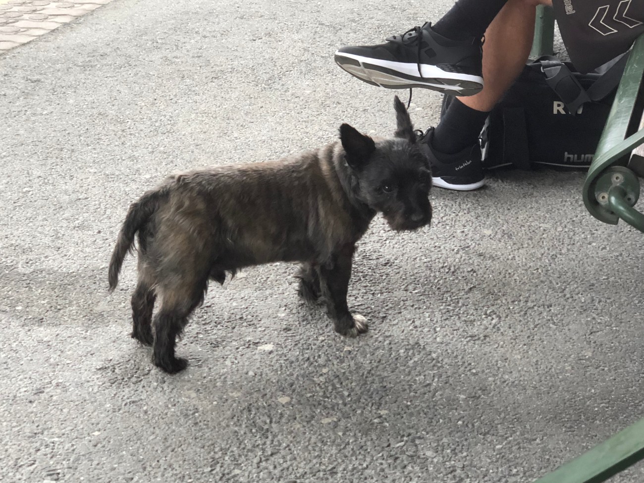 2018-05-21 20.36.13.jpg